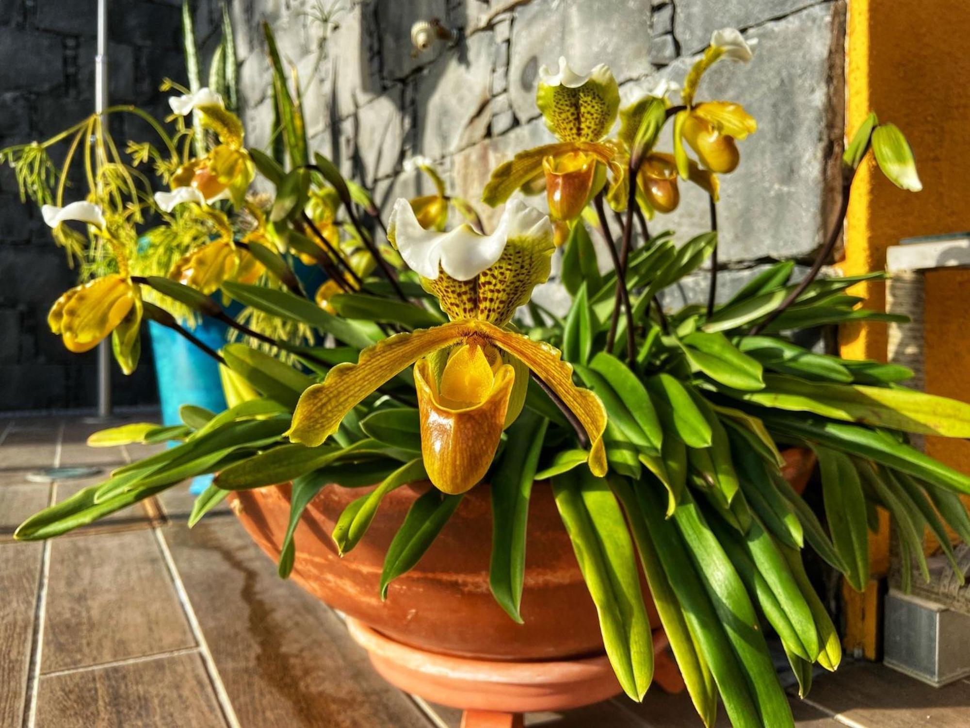 Zeza'S House Villa Calheta  Luaran gambar